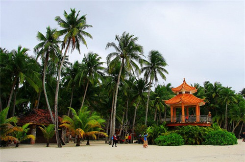 托克托县男士乳液品牌连锁店哪家好，托克托县最大的商场