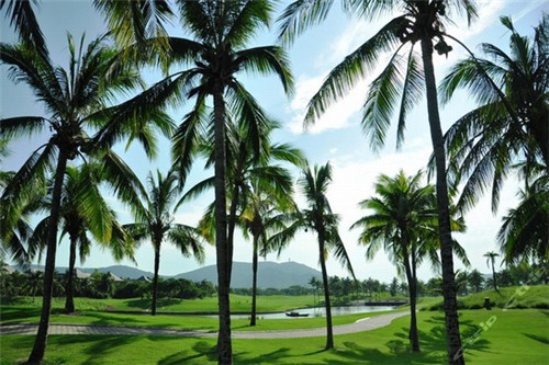 密山市开店创业LED玉米灯加盟没经验开什么店好，玉米灯泡厂家