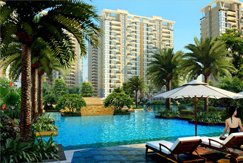 榨油机加盟招商项目有哪些，榨油机经销商