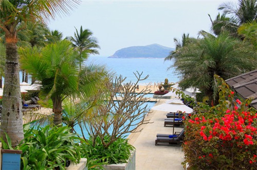 思念故乡曾经的你是什么歌（思念故乡的老歌）