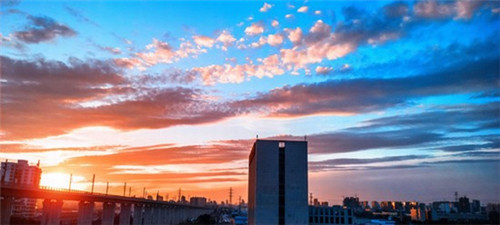 端游提莫符文带什么好用（提莫最强新版符文天赋）