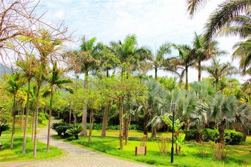 建筑十大新技术最新（建筑十大新技术应用最新版）